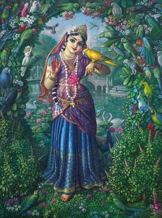 krishna priyaaa
